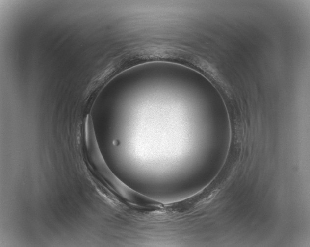 X0000067000489200603241346