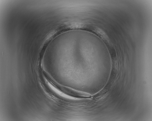 X0000067000491200603241346