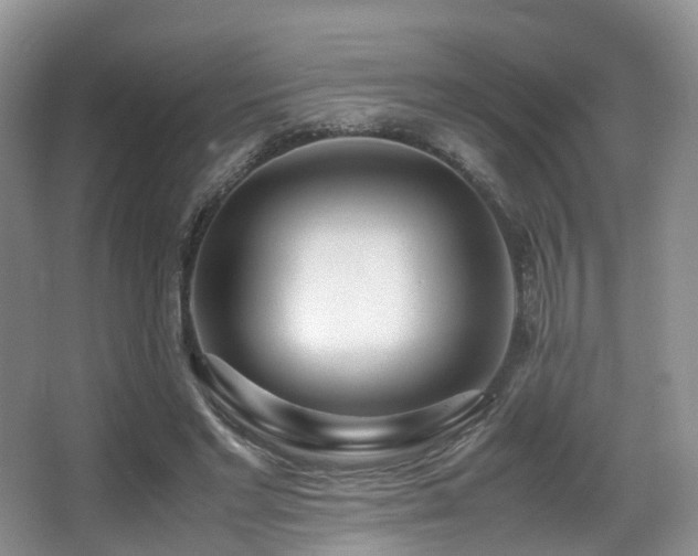 X0000067000493200603241346