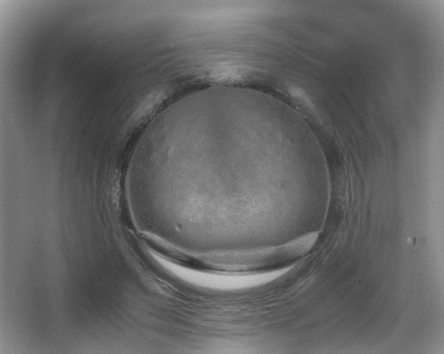 X0000067000495200603241346