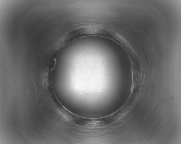 X0000067000497200603241346