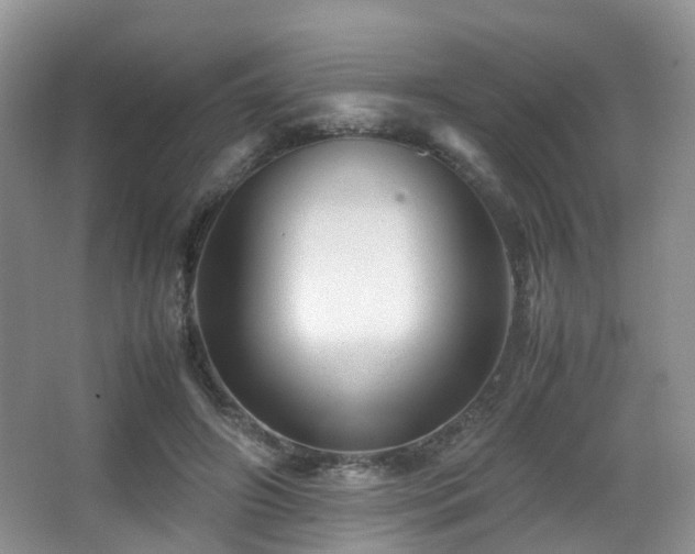 X0000067000498200603241346