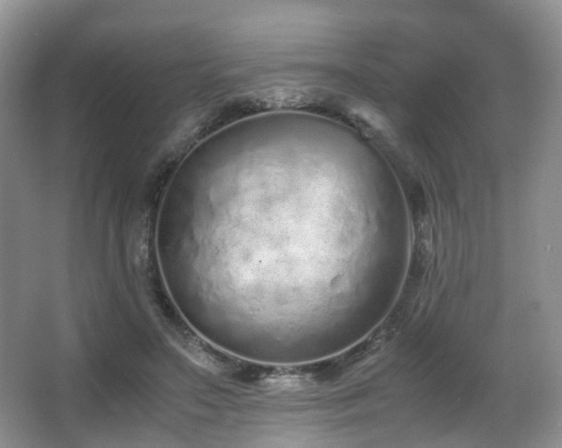 X0000067000499200603241346