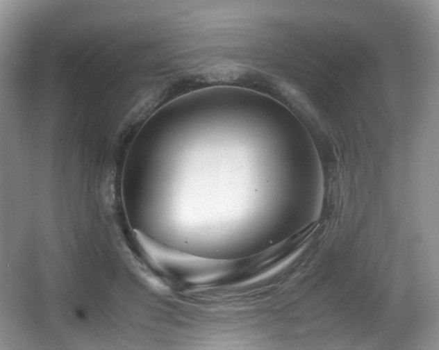 X0000067000501200603241346