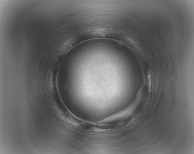X0000067000504200603241346