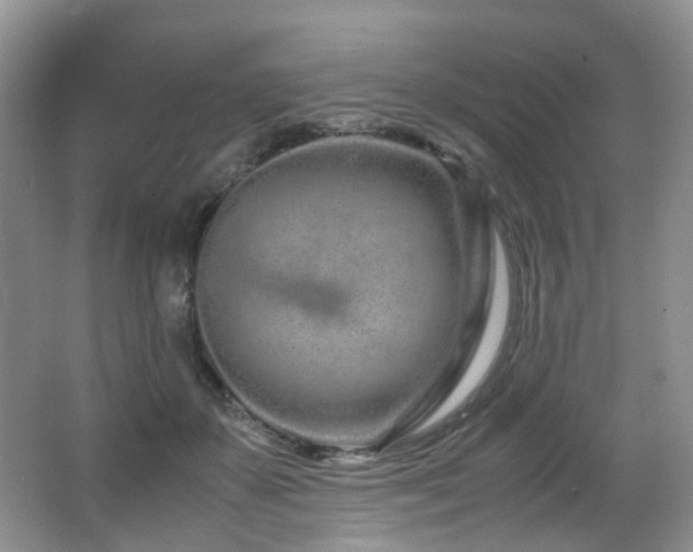 X0000067000507200603241346