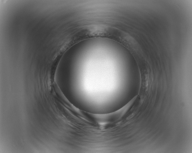 X0000067000508200603241346