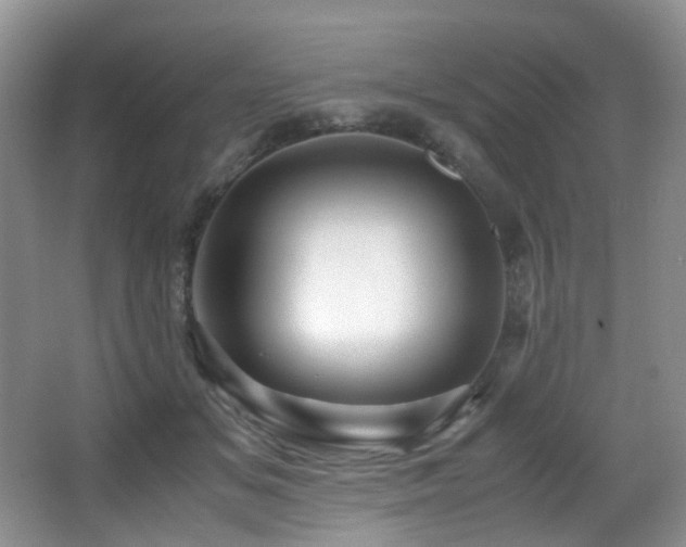 X0000067000509200603241345