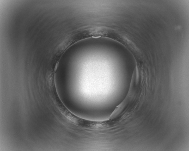 X0000067000513200603241345