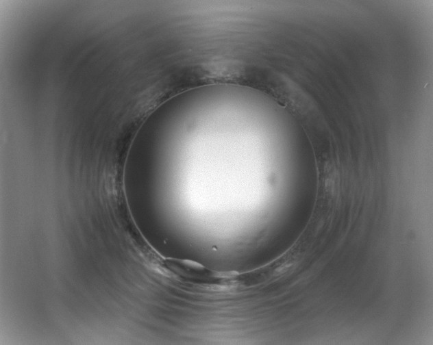X0000067000514200603241345