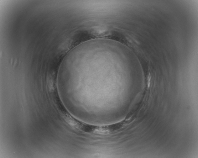 X0000067000515200603241345