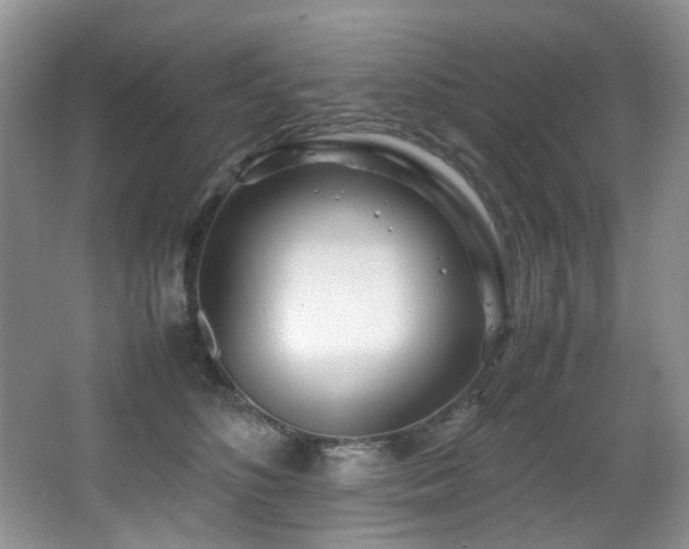 X0000067000516200603241345