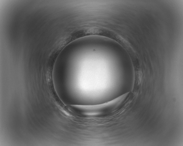 X0000067000517200603241345