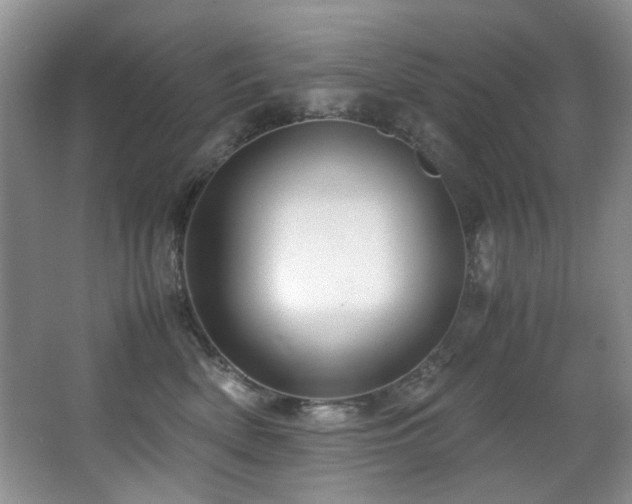 X0000067000522200603241345