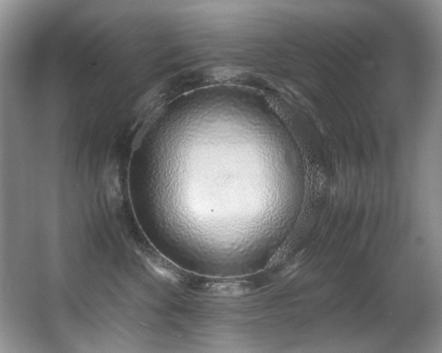 X0000067000524200603241345