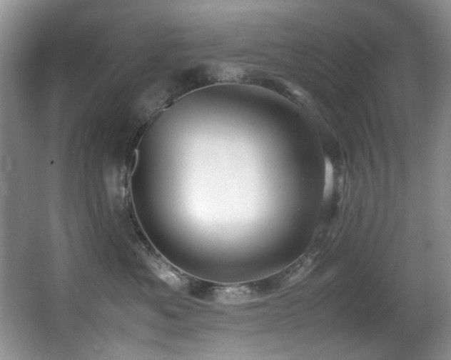 X0000067000525200603241345
