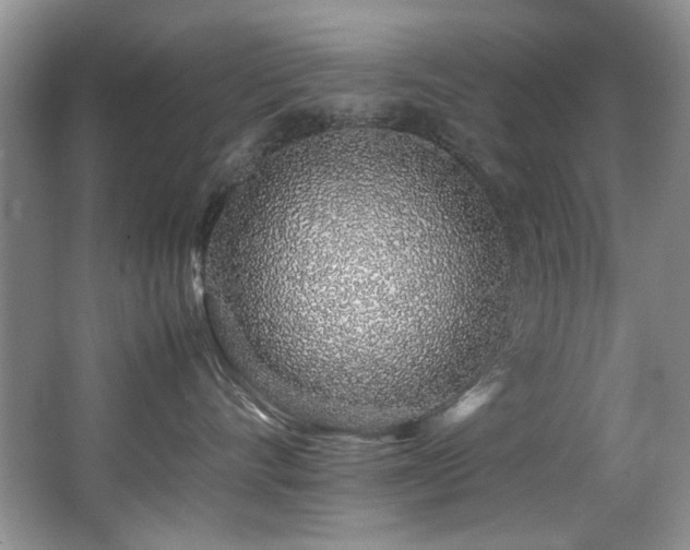 X0000067000528200603241345