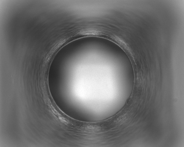 X0000067000529200603241344