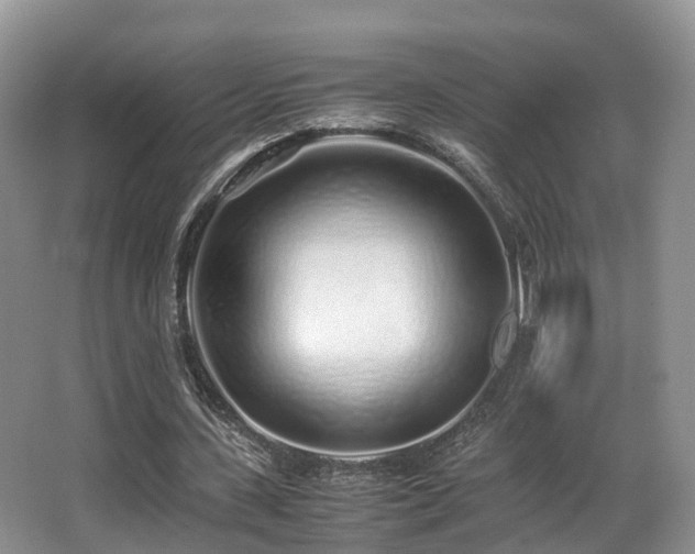X0000067000531200603241344