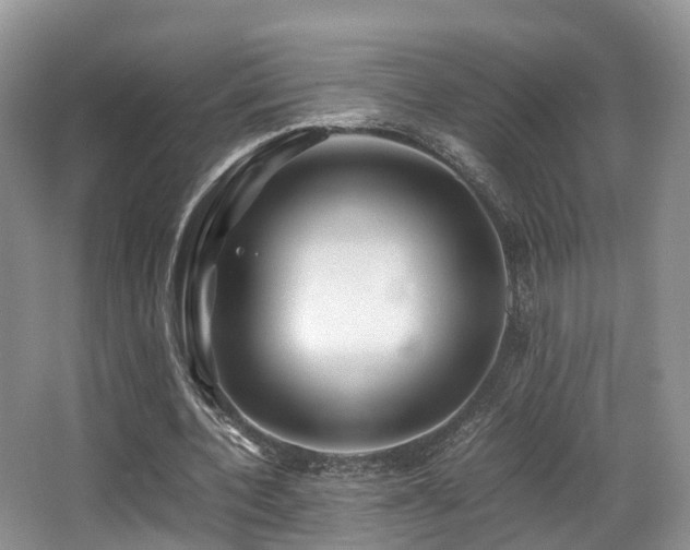 X0000067000532200603241344