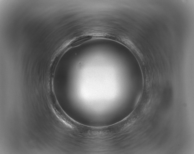 X0000067000533200603241344