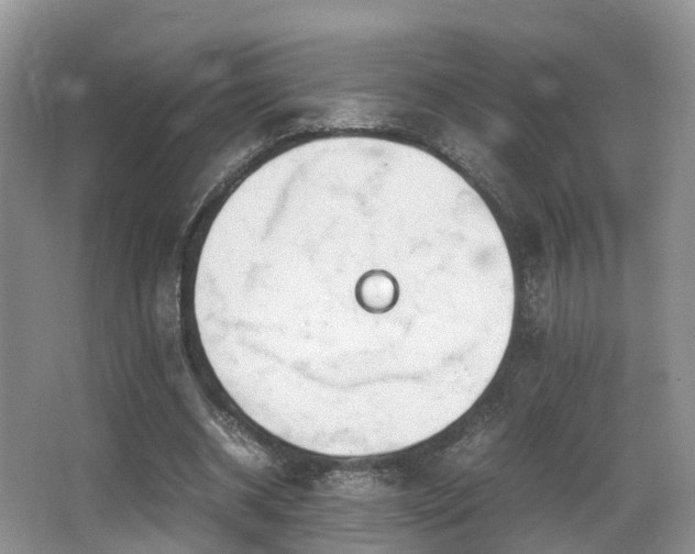 X0000067000534200603241344