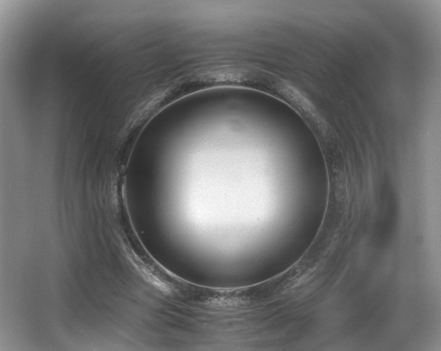 X0000067000537200603241344