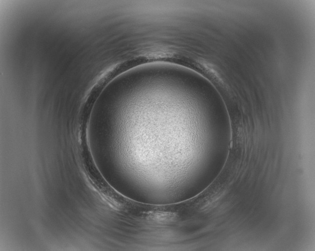 X0000067000539200603241345