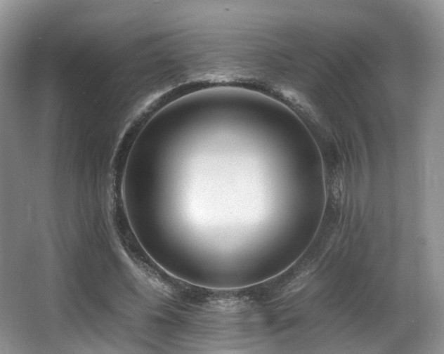 X0000067000540200603241345