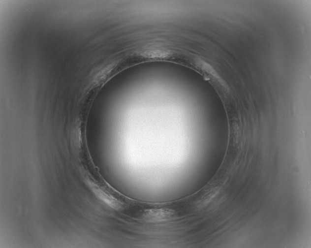 X0000067000541200603241345