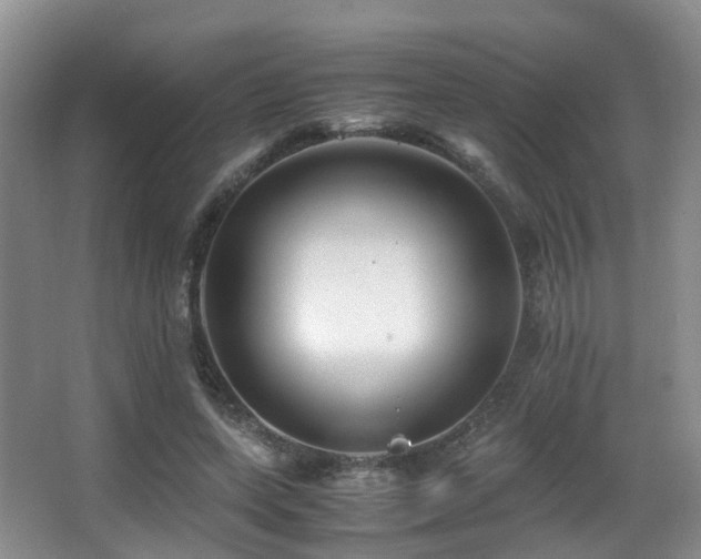 X0000067000543200603241345