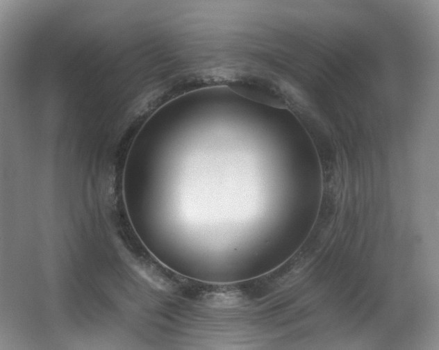 X0000067000548200603241345