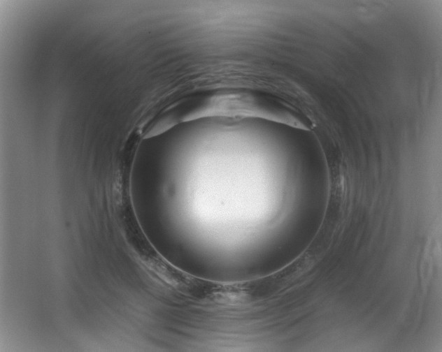 X0000067000552200603241345