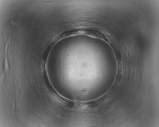 X0000067000554200603241345