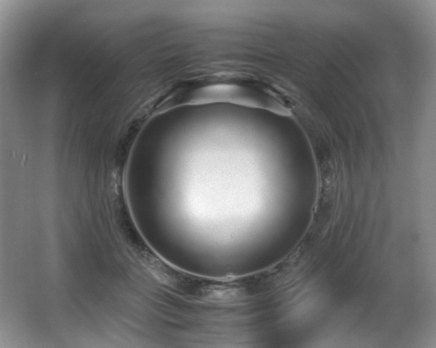 X0000067000555200603241345