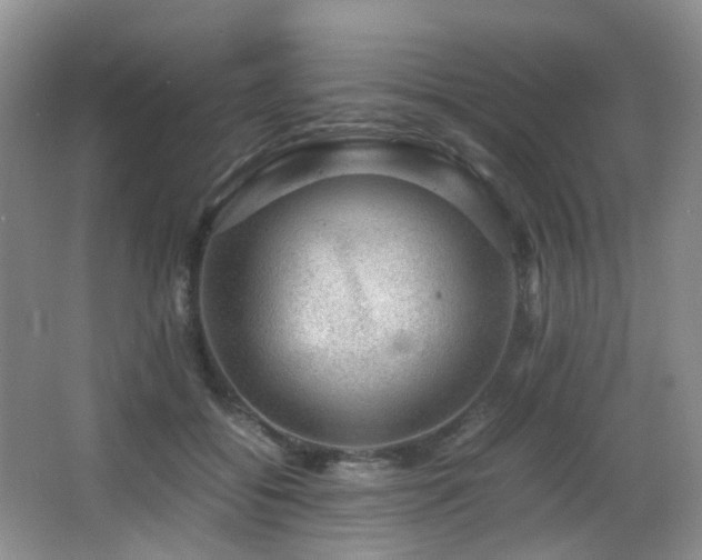 X0000067000556200603241345