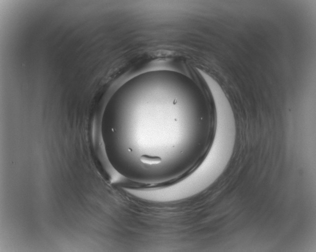 X0000067000561200603241345