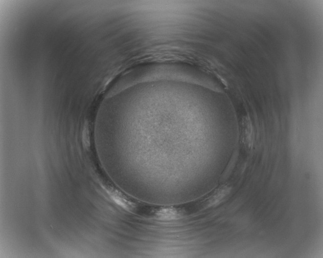 X0000067000562200603241345