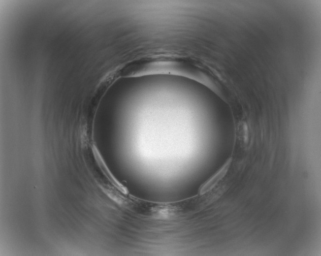 X0000067000564200603241345