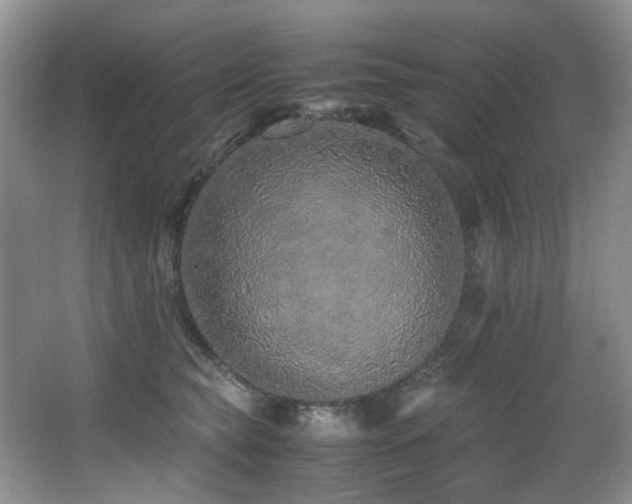 X0000067000565200603241345