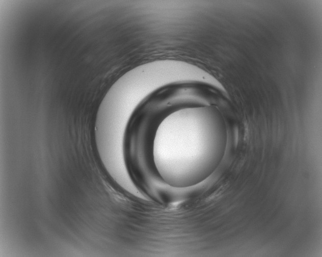 X0000067000570200603241345