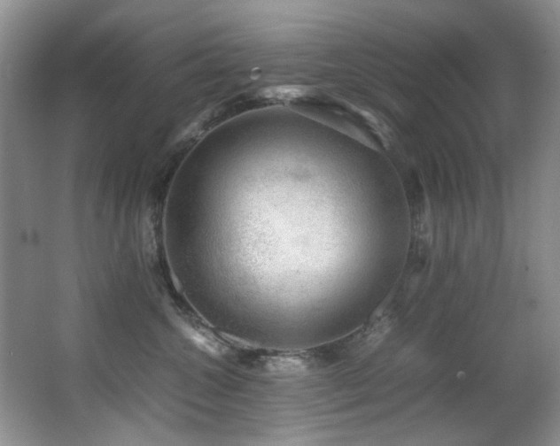X0000067000572200603241345