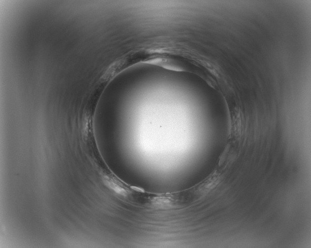 X0000067000574200603241345