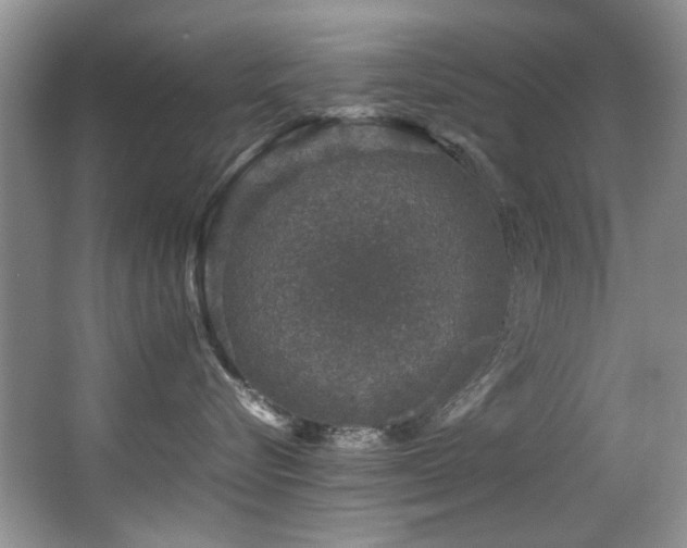 X0000067000576200603241345