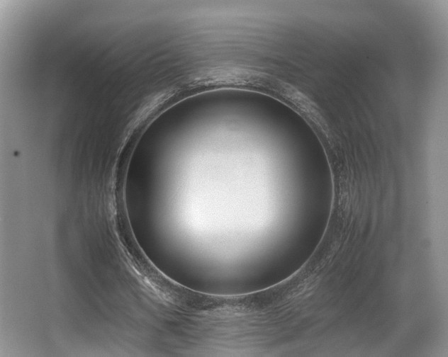 X0000067000578200603241344
