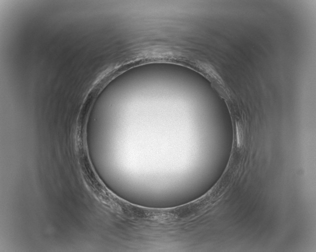 X0000067000579200603241344