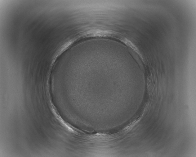 X0000067000581200603241344