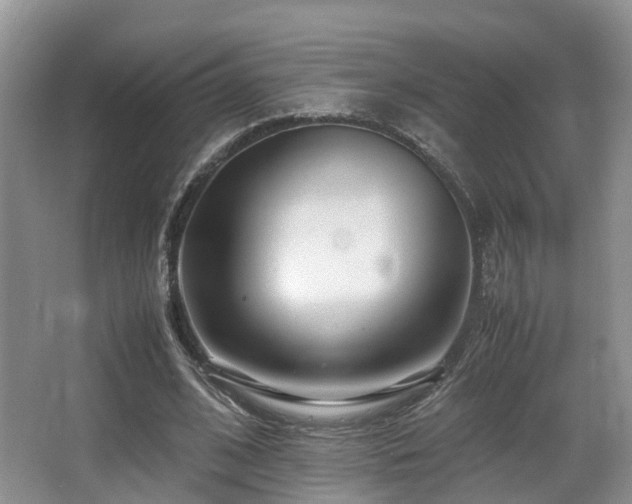 X0000067000584200603241344