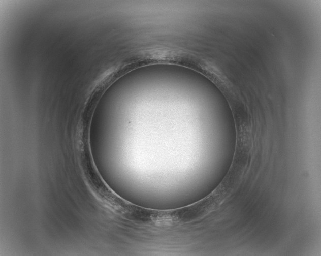 X0000067000587200603241344