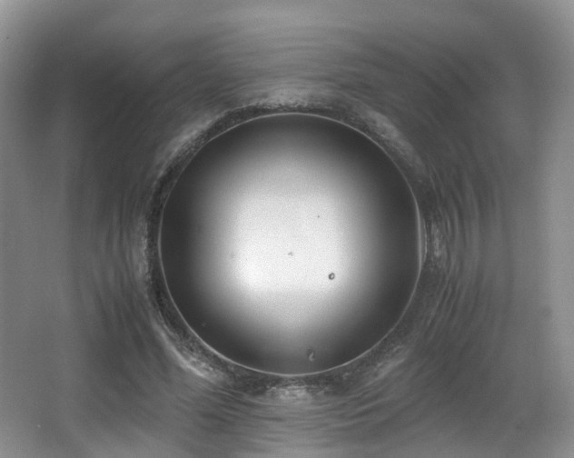 X0000067000588200603241344